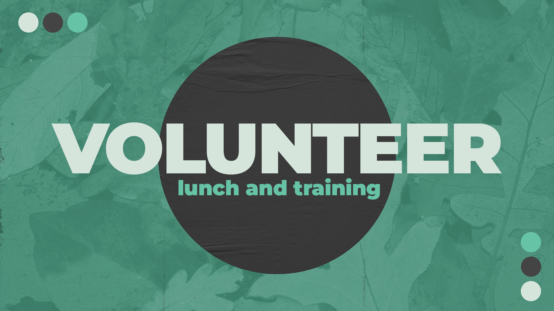 Volunteer Appreciation and Training Lunch