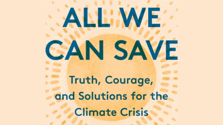 All We Can Save Book Study