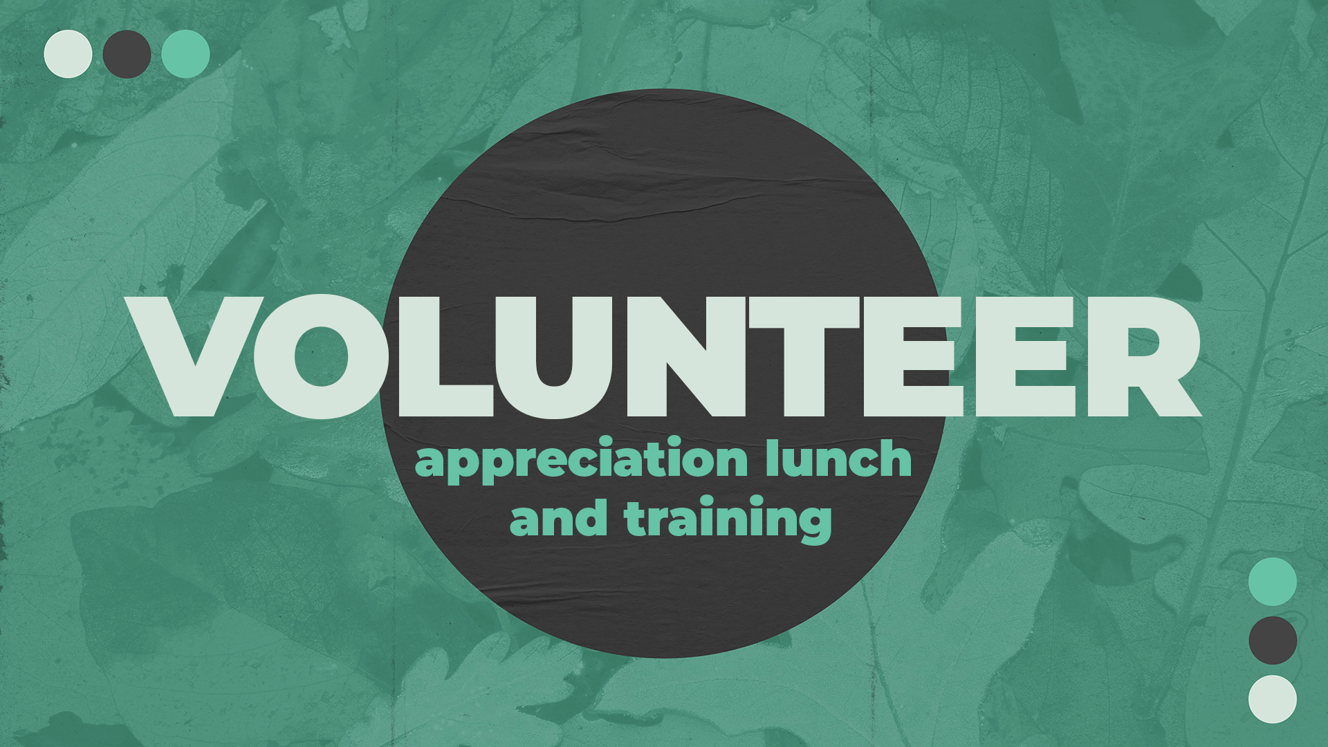 Volunteer Appreciation Lunch and Training